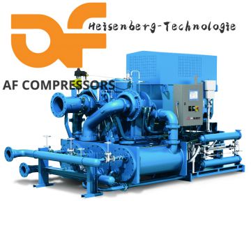 AF Air compressor seals  Discharge Valve