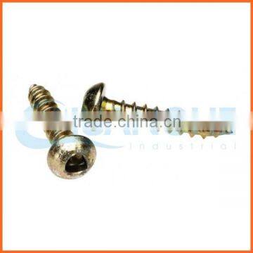 China Supplier Carbon Steel Anti-theft Screw photo-4