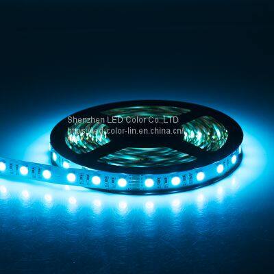 RGBNW custom IP20 Indoor 12MM car home hotel Led Strip Light