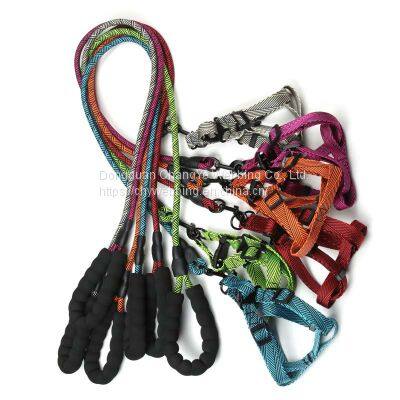 Pet leash