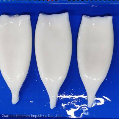 Frozen Squid Tube photo-2