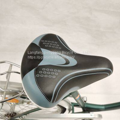 24/12inch Steel Single Speed Lady Bike City Bike photo-4