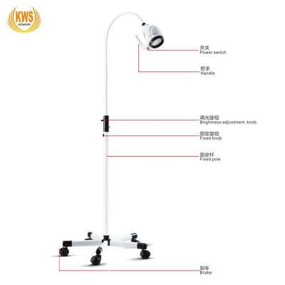 LED Dental ENT Surgery Dermatology Medical Mobile Floor Examination Lamp Surgical Light