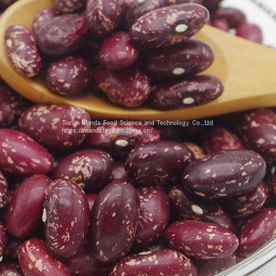 Purple Speckled Kidney Beans