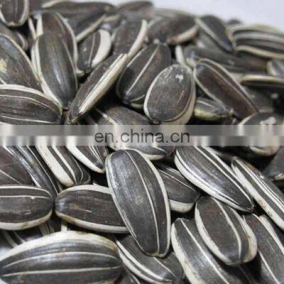 Wholesale Chinese Famous Brand Qiaqia Roasted Sunflower Seeds Sunflower Kernel Seeds Sunflower photo-5