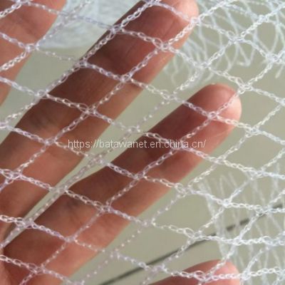 Anti-Bird Netting Farm Supply Polyethylene Bird net for Blueberries Vineyards Orchards