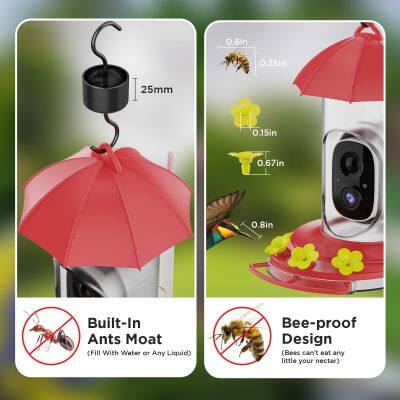 Outdoor Electronic Bird Feeder Cam Hanging Smart Humming Camera 2.4G-WIFI 3MP Hummingbird Feeder With Camera AI Identifies Bird photo-4