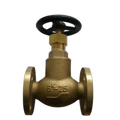 Chemical Processing JIS Bronze Globe Valve Bronze Safety Valve Steam Copper Material