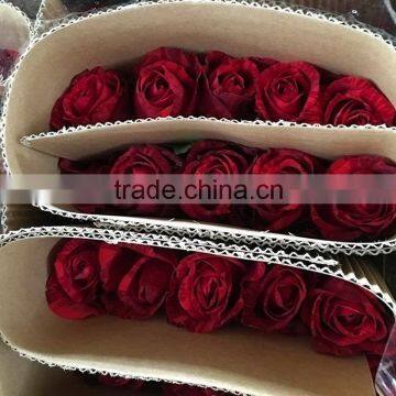 Fresh color hot selling fresh red rose with leaves and stem