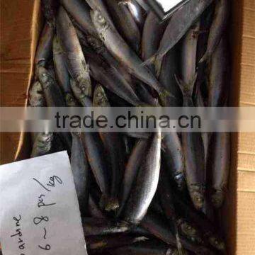 Frozen Sardine 100-150g photo-2