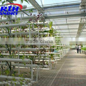 Large Multi-span Glass Greenhouse-commercial greenhouses