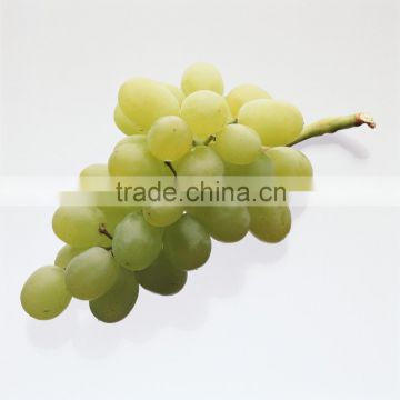 Fresh Green Grapes