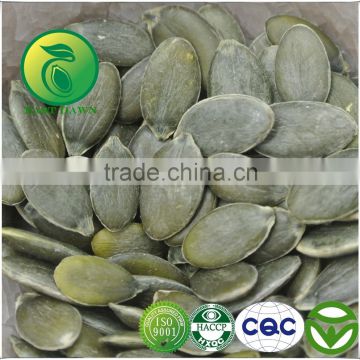 Hot Sale Products Pumpkin Seeds Kernels With Good Price