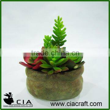 Popular Artificial Office Desk Potted Succulent Plant in Concrete Pot for Sale