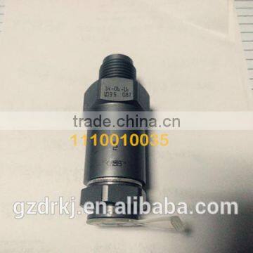 Good quality /factory price C-R pipe pressure relief valve 1110010035