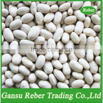 Japanese White Kidney Beans