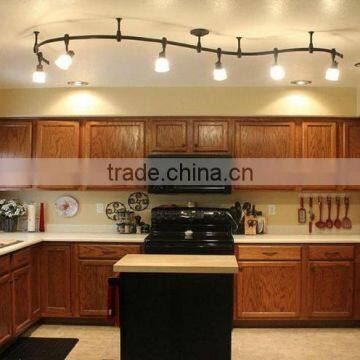 Nickel Plated Ceiling Track Spot Light for Kitchen photo-2