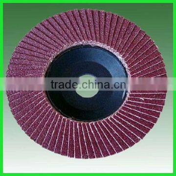 Fiberglass Flap Disc