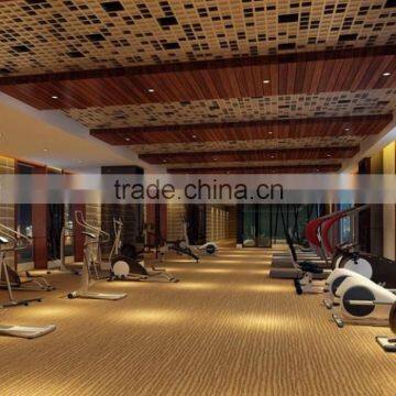 Gymnasium Club Carpet Gym Carpet Hotel Broadloom Carpet