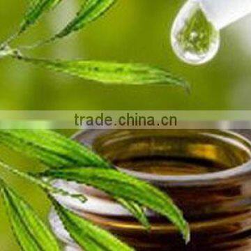 Tea Tree Oil