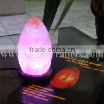 Natural Himalayan Rock Salt Mini Egg Shaped USB Lamp