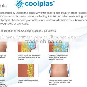 CE Approved Cryopolysis Fat Freezing Machine/cryopolysis Machine Price photo-6
