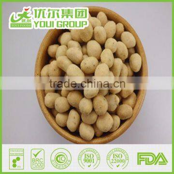 HACCP Cream & Onion Flavor Peanuts