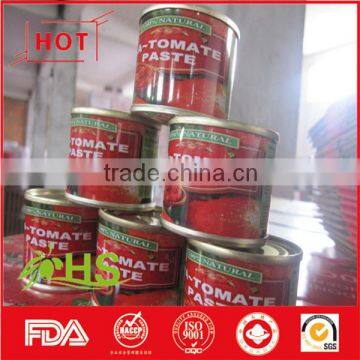 High quality and low price tomato paste