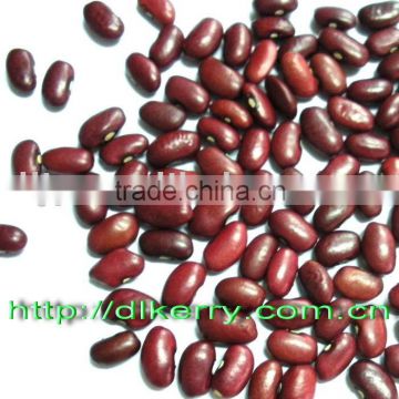 Chinese Small Red Kidney Beans 2008 Crop