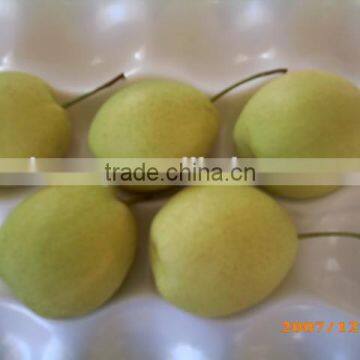 2015 Shandong pear supplier from china with good price