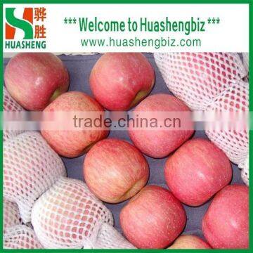 Top Quality Chinese 9kg-20kg Carton Fresh Fuji Apple photo-2