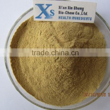 GMP Natural High Quality White Willow Bark Extract Salicin