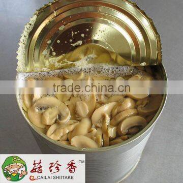 Canned Champignon Mushroom of Factory Price photo-3