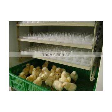 cheap small egg incubator /geese egg incubator /incubator quail egg hatching machine