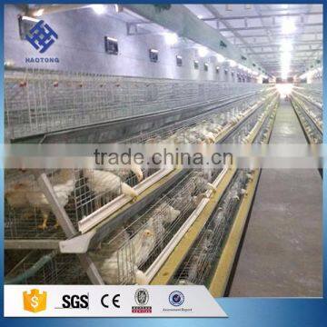 30 Years' Factory Supply Automatic Chicken Broiler Cages photo-2