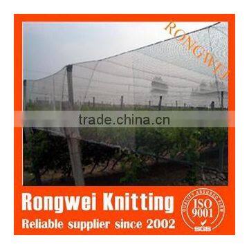 Anti Hail Netting(made of 100% new HDPE with UV protection)