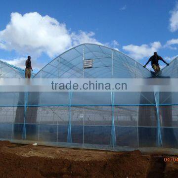 Aeroponics and Hydroponics Systems for Commercial Greenhouse photo-4