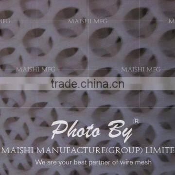 460gsm Hexagaonal Shape Plastic Extruded Mesh photo-5