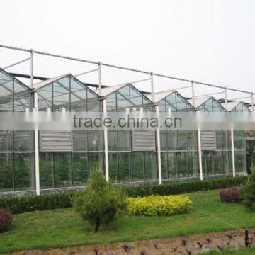 Large Size Multi-span Glass Greenhouse/commercial Greenhouses photo-6