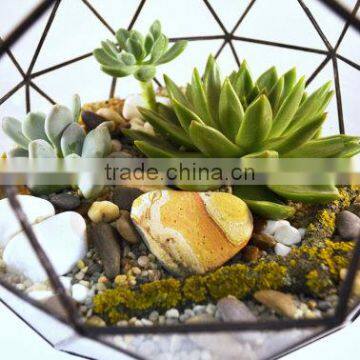 Geometric Stained Glass Vase Terrarium Ball photo-3