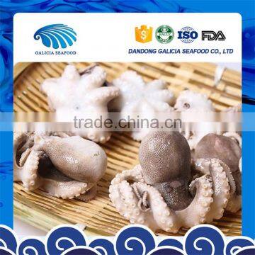 iqf frozen whole cleaned baby octopus for sale