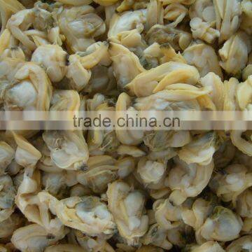 High Quality Frozen Cooked Short Necked Clam Meat photo-3