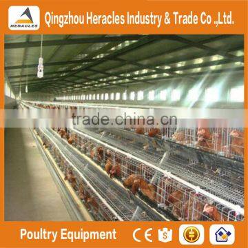 Trade Assurance Automatic Poultry Equipment/layer Chicken Cage photo-3