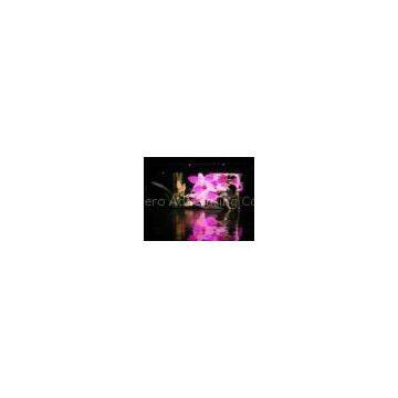 Black Indoor Advertising Display for Shopping Mall 17222 (dot/m2) 1R1G1B 1000W/m2 P7.62