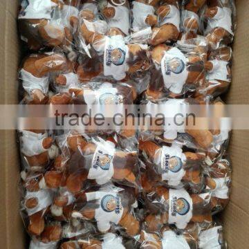 Custom Mini Stuffed Animal Small Toys Plush Bear Keychain photo-6