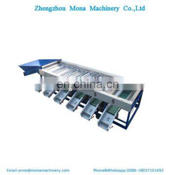 Mango Fruit Grading Machine / Apple Washing Sorting Machine photo-5