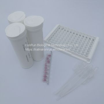 Rapid milk test strip aflatoxin m1 antibiotics test for milk