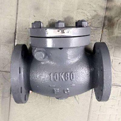 Chengzhi 10k Marine Japanese Standard Flanged Cast Iron Swing Check Valve Jis F7373
