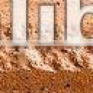 china exterior wall tile in low price for sale