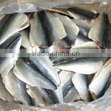 Frozen Mackerel Fillet